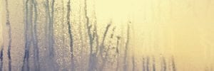 Home Window with Fog and Condensation