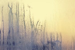Home Window with Fog and Condensation