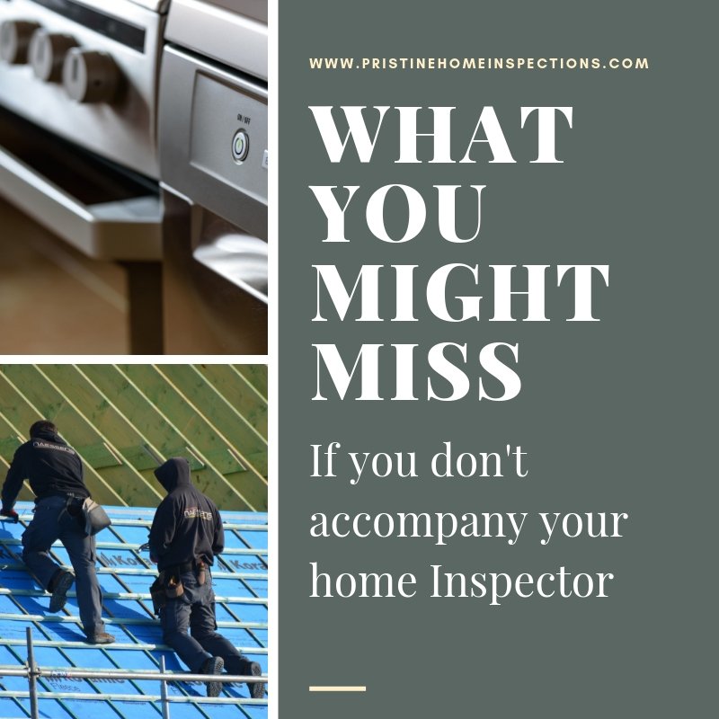 What You Might Miss if You Don't Accompany the Inspector