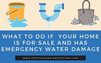 What To Do If  Your Home is For Sale and Has Emergency Water Damage
