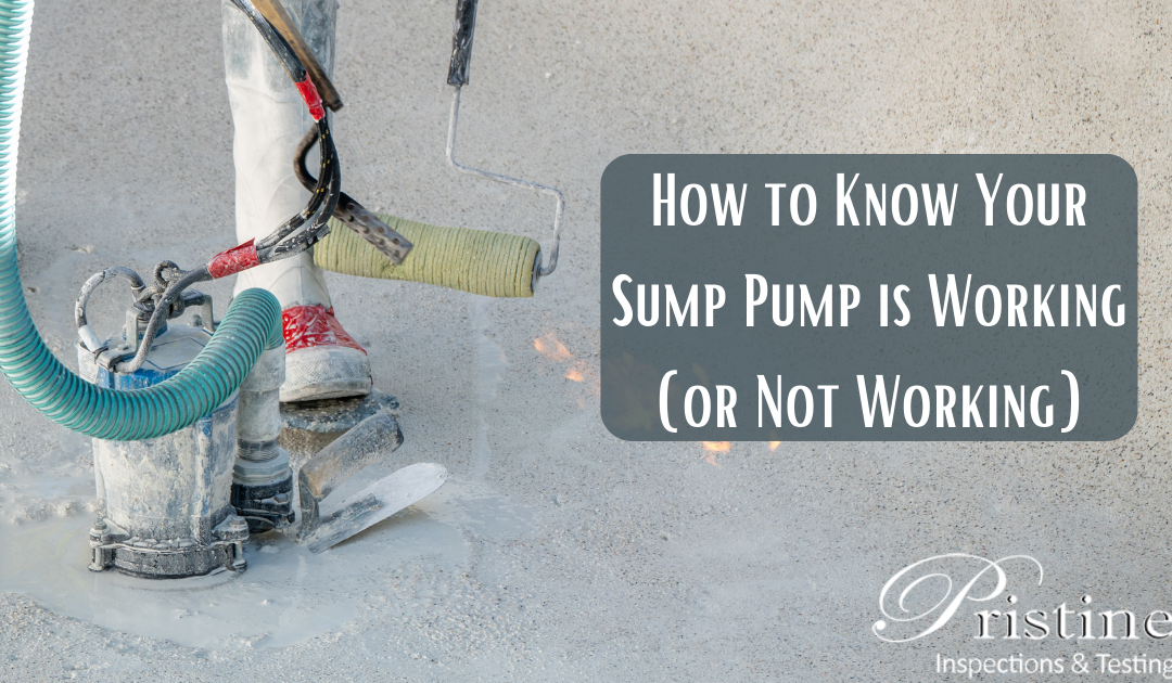 How to Know Your Sump Pump is Working (or Not Working)