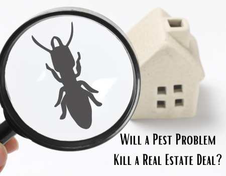 Will a Pest Problem Kill a Real Estate Deal?