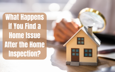 What Happens if You Find a Home Issue After the Home Inspection?