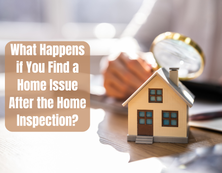 What Happens if You Find a Home Issue After the Home Inspection?