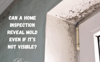 Can a Home Inspection Reveal Mold Even If It’s Not Visible?