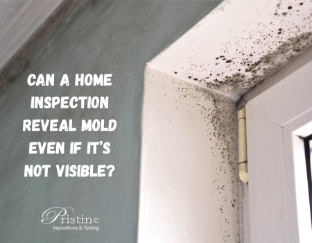 Can a Home Inspection Reveal Mold Even If It’s Not Visible?