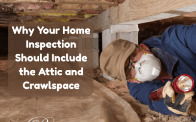 Why Your Home Inspection Should Include the Attic and Crawlspace
